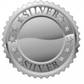 5K Silver
